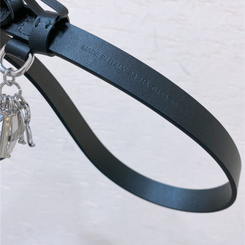 High Quality Luxury Dior New Cd Pin Buckle Belt – Style 63654 product detail