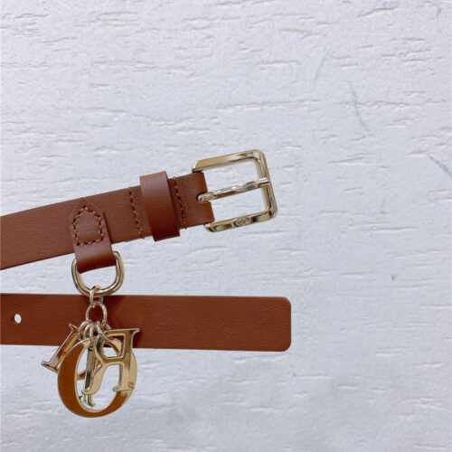 High Quality Luxury Dior New Cd Pin Buckle Belt – Style 91334 product detail