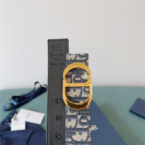 High Quality Luxury Dior New Belt product detail