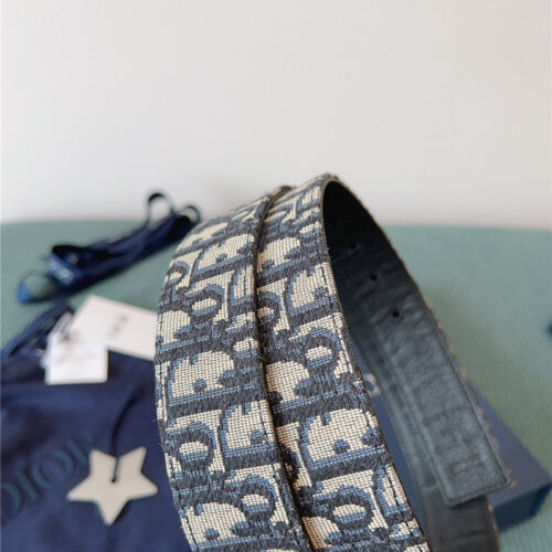 High Quality Luxury Dior New Belt product detail