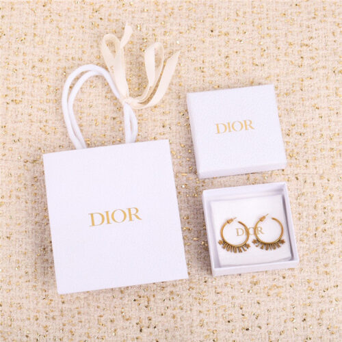 High Quality Luxury Dior New Earrings product detail