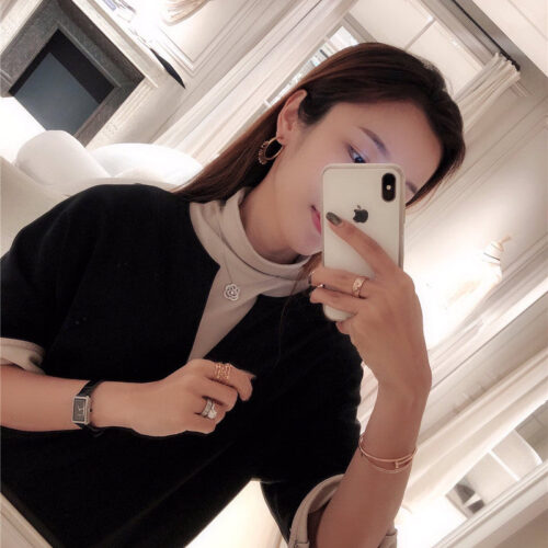 High Quality Luxury Dior New Earrings product detail