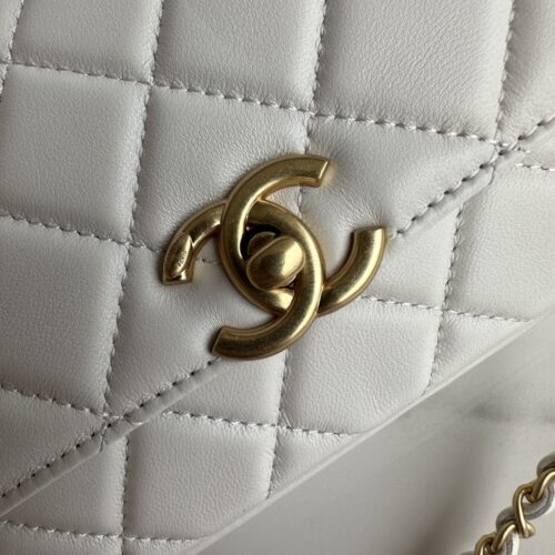 CHANEL Wallet On Chain Bag product photo 4