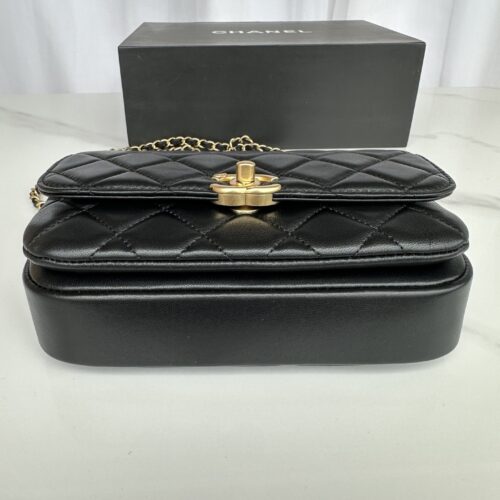 CHANEL Wallet On Chain Bag product photo 3