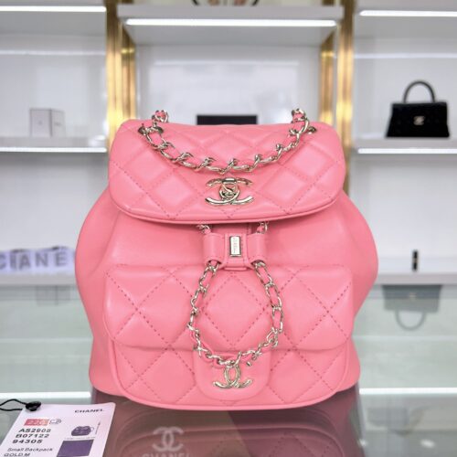 Chanel Duma Leather Backpack product photo 1