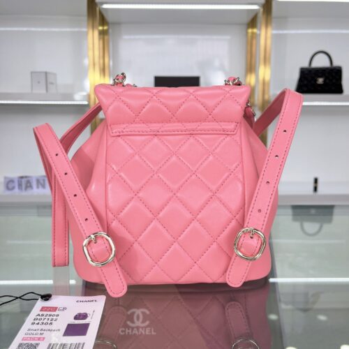 Chanel Duma Leather Backpack product photo 2