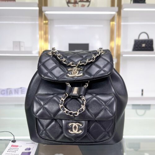 Chanel Duma Leather Backpack product photo 1