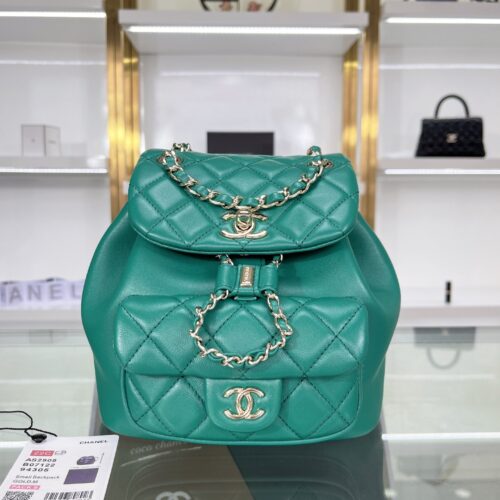 Chanel Duma Leather Backpack product photo 1