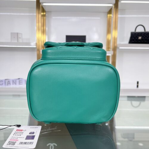 Chanel Duma Leather Backpack product photo 4