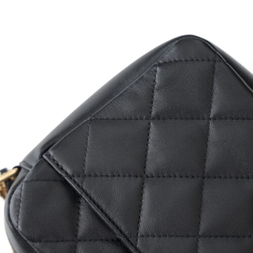 CHANEL SMALL CAMERA CASE product photo 9