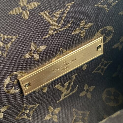 Louis Vuitton Dauphine Soft Medium product photo 8