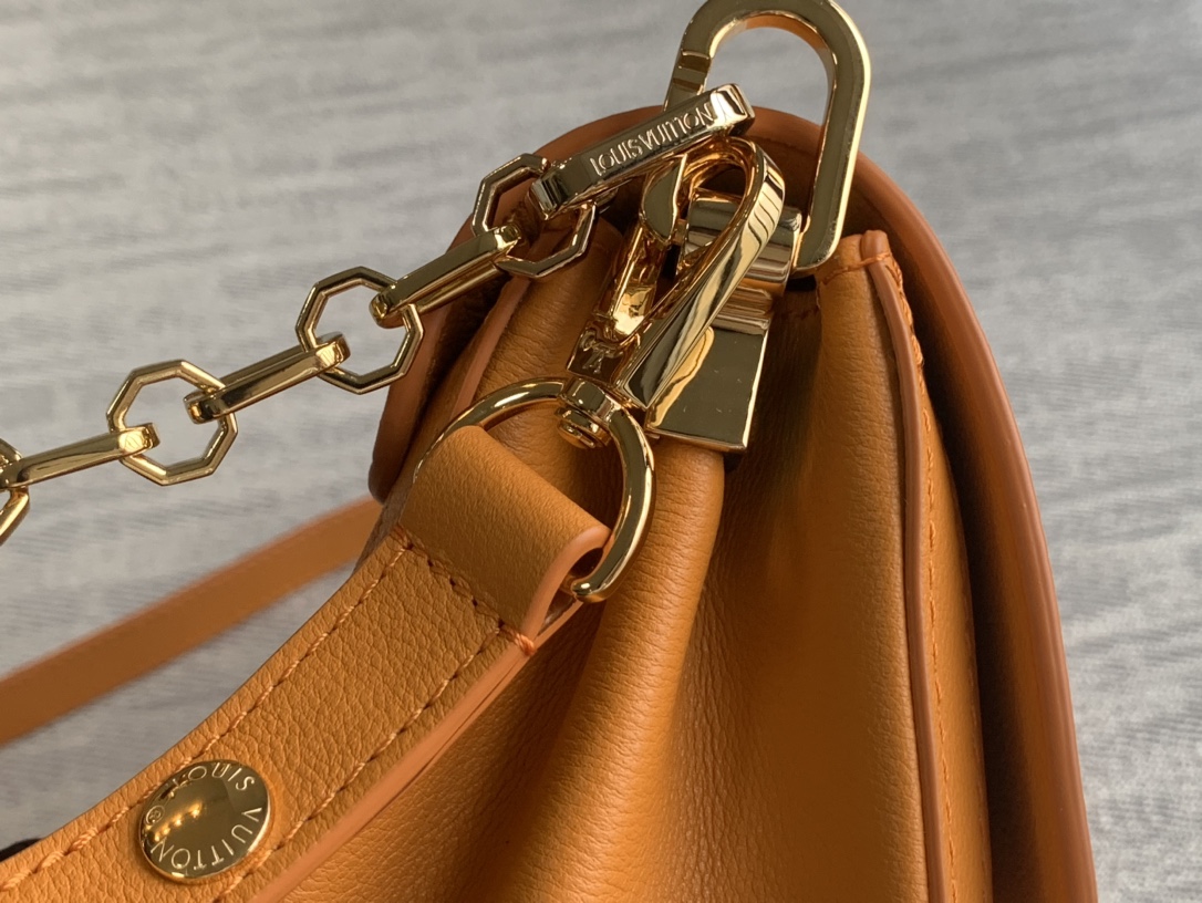 High Quality Luxury Louis Vuitton Dauphine Soft Medium – Style 42629 product detail