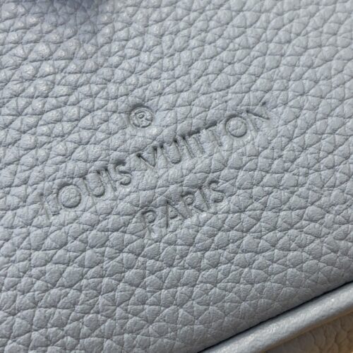 Louis Vuitton Speedy Bandoulière 20 Bag product photo 5