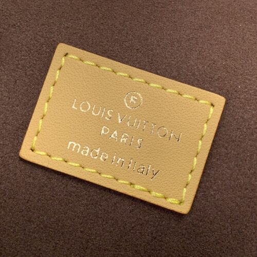 Louis Vuitton Vanity Chain Pouch Bag product photo 8