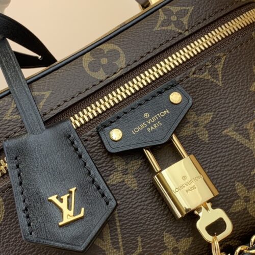 Louis Vuitton Vanity Chain Pouch Bag product photo 5