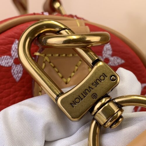 Louis Vuitton Speedy P9 Bandoulière25 product photo 7