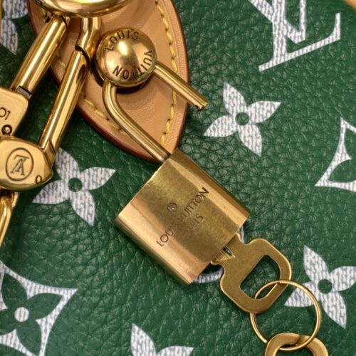 Louis Vuitton Speedy P9 Bandoulière25 product photo 5