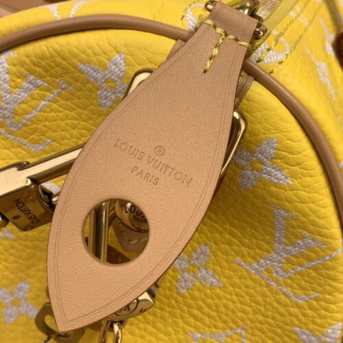 Louis Vuitton Speedy P9 Bandoulière25 product photo 6