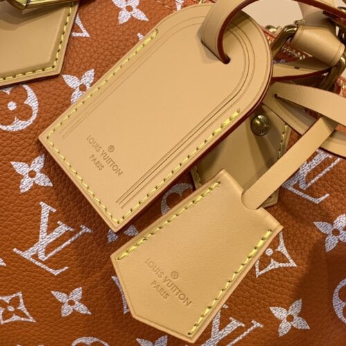 Louis Vuitton Speedy P9 Bandoulière25 product photo 4