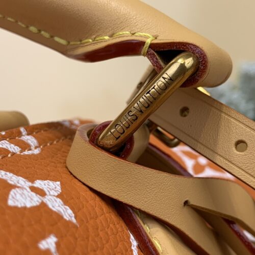 Louis Vuitton Speedy P9 Bandoulière25 product photo 6