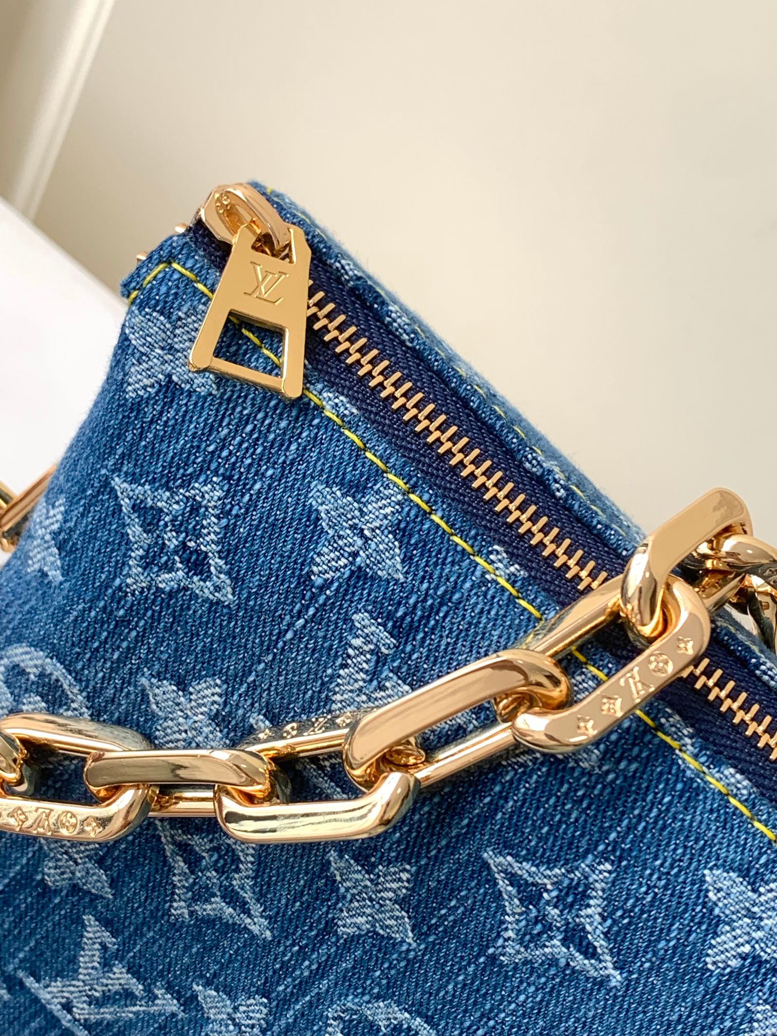 High Quality Luxury Louis Vuitton Coussin PM product detail