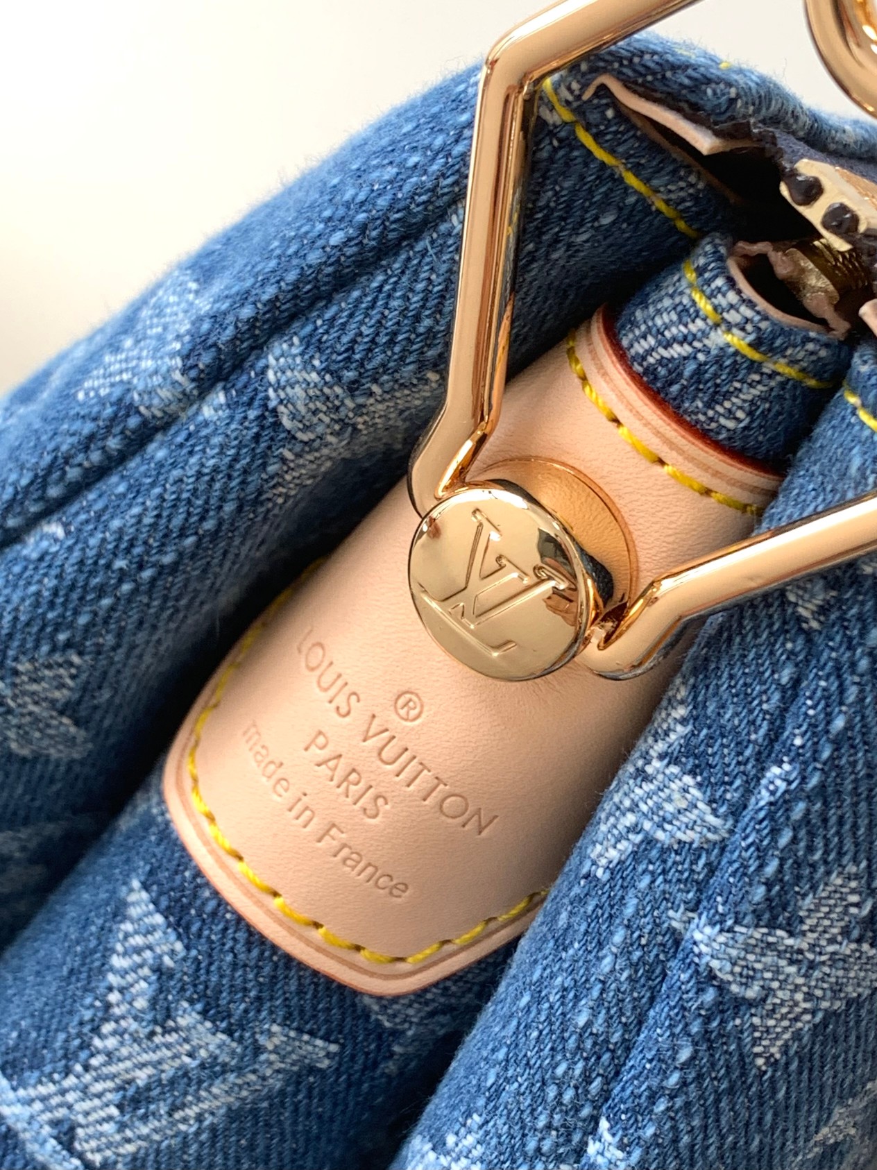 High Quality Luxury Louis Vuitton Coussin PM product detail