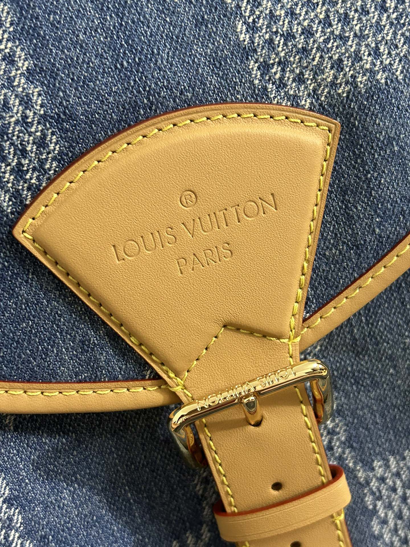 High Quality Luxury Louis Vuitton Montsouris Backpack product detail