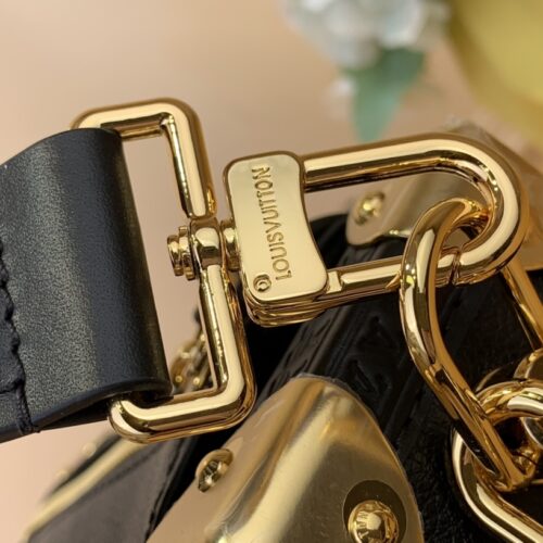 Louis Vuitton Side Trunk Small product photo 7