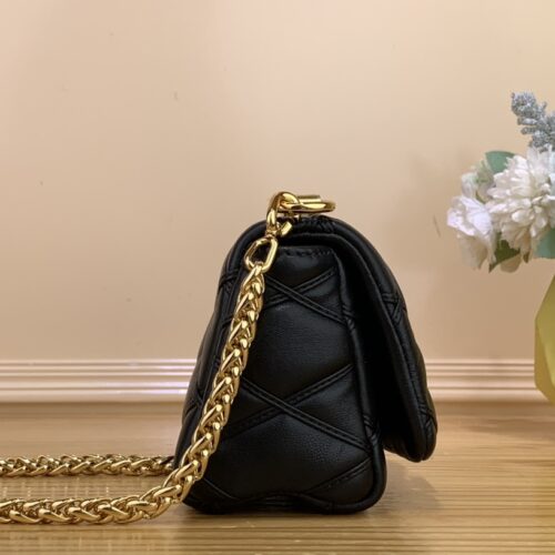 Louis Vuitton Pico GO-14 product photo 2