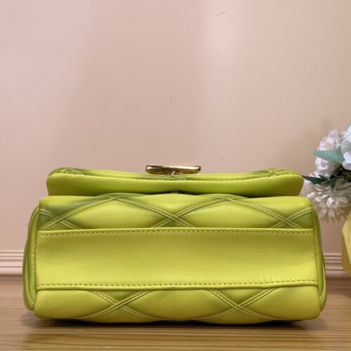 Louis Vuitton Pico GO-14 Medium product photo 4