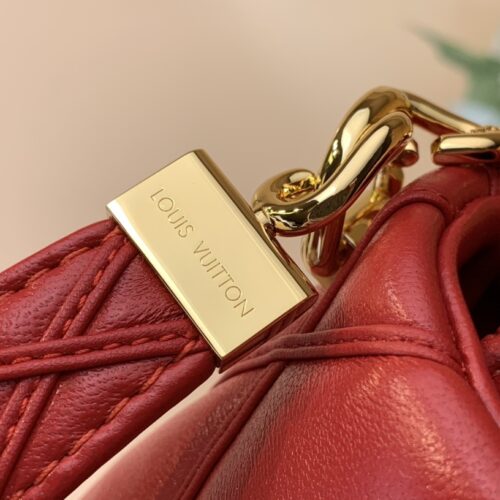 Louis Vuitton Pico GO-14 Medium product photo 6
