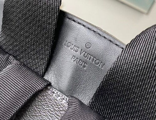 Louis Vuitton CAMPUS LV Backpack N50009 product photo 5