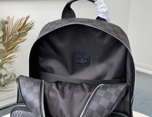 Louis Vuitton CAMPUS LV Backpack N50009 product photo 8