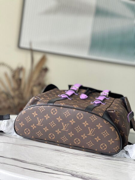 High Quality Luxury Louis Vuitton Christopher MM Backpack M46272 product detail