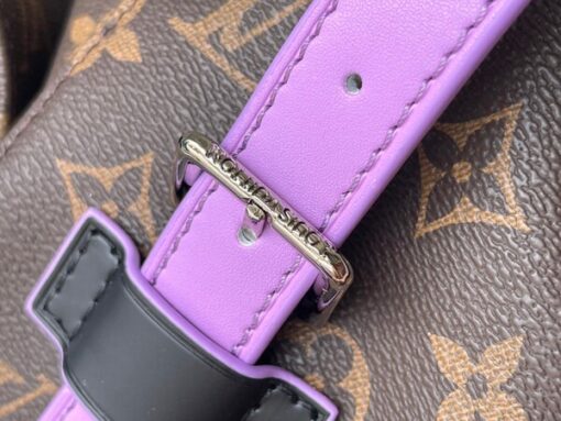 High Quality Luxury Louis Vuitton Christopher MM Backpack M46272 product detail