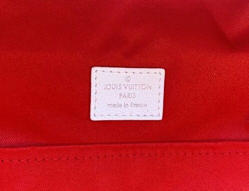 High Quality Luxury Louis Vuitton Racer LV Backpack M20664 product detail