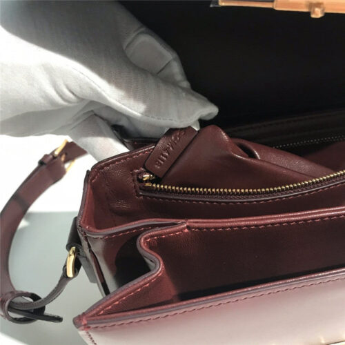 High Quality Luxury Celine Triomphe Medium product detail