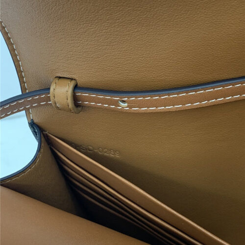 High Quality Luxury Celine Triomphe Canvas Handbag product detail