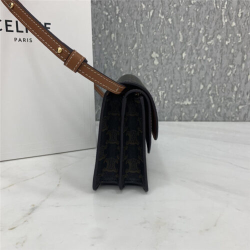High Quality Luxury Celine Triomphe Canvas Handbag product detail