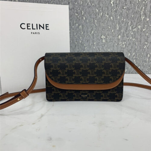 High Quality Luxury Celine Triomphe Canvas Handbag