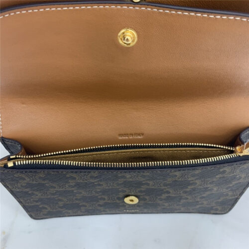 High Quality Luxury Celine Triomphe Canvas Handbag product detail