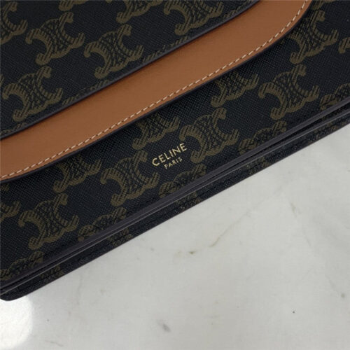 High Quality Luxury Celine Triomphe Canvas Handbag product detail