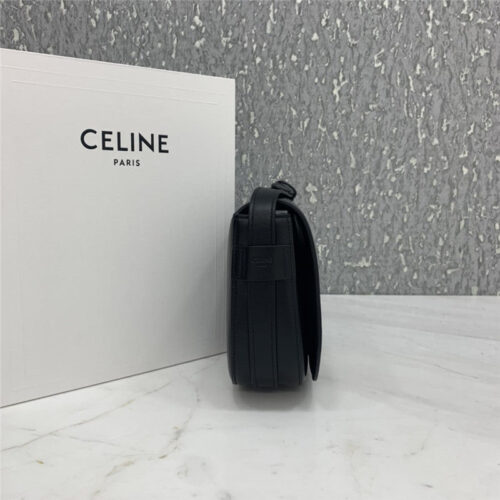 High Quality Luxury Celine Maillon Triomphe Handbag – Style 24842 product detail
