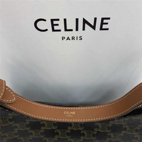 High Quality Luxury Celine Ava Bag In Triomphe Canvas product detail