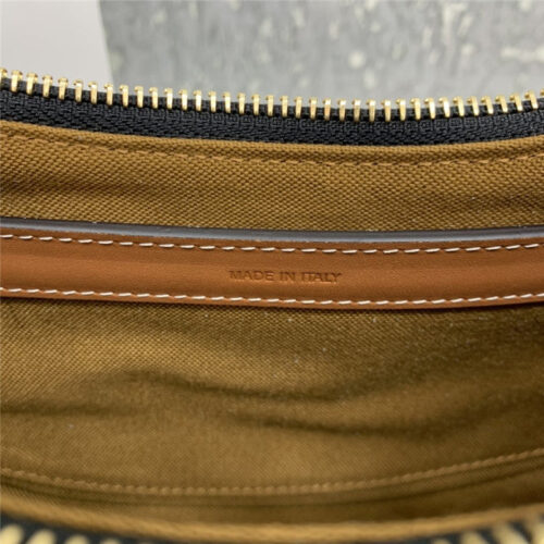 High Quality Luxury Celine Ava Bag In Triomphe Canvas product detail
