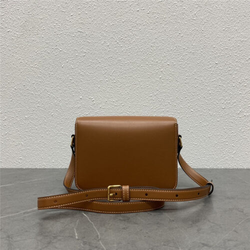 High Quality Luxury Celine Triomphe Bag – Style 24948 alternate view