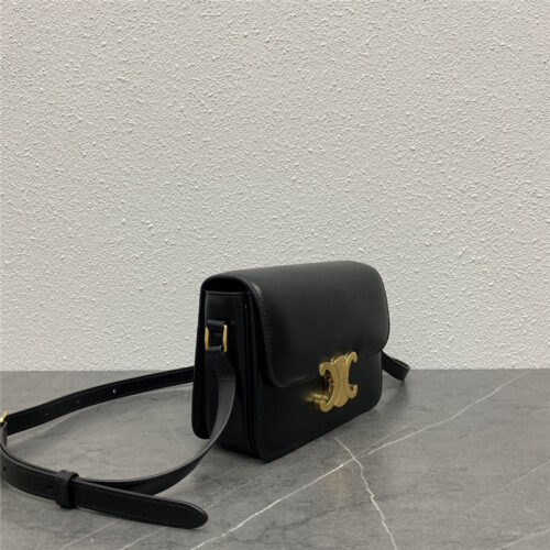 High Quality Luxury Celine Triomphe Bag – Style 24954 product detail