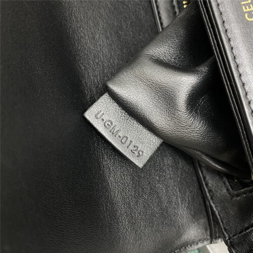 High Quality Luxury Celine Triomphe Bag – Style 24954 product detail