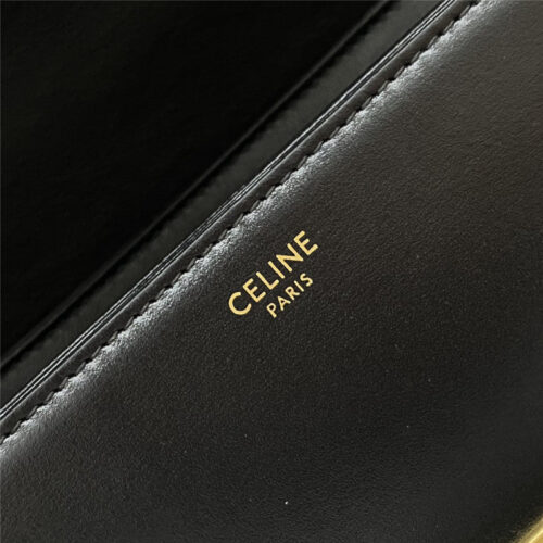 High Quality Luxury Celine Triomphe Bag – Style 24954 product detail