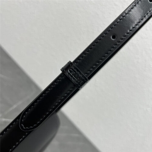 High Quality Luxury Celine Saddle Bag – Style 24884 product detail